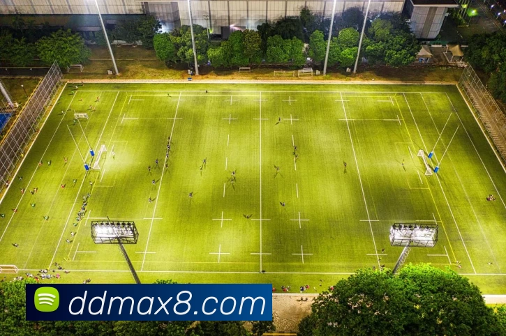 鼎点娱乐官网平台生态图